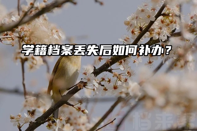 学籍档案丢失后如何补办？带你了解补办流程！