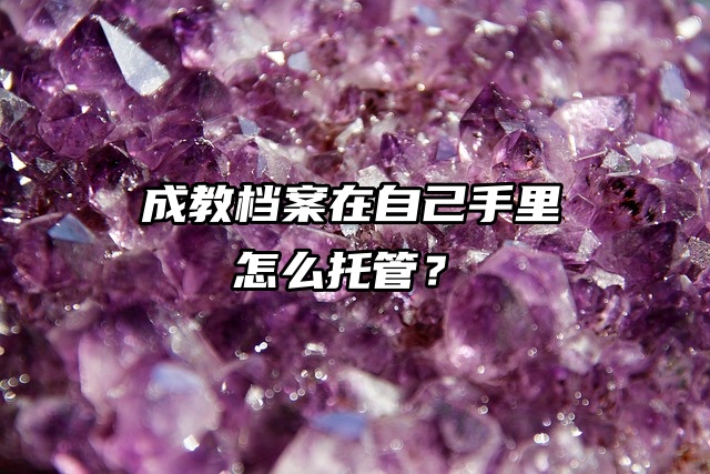 成教档案在自己手里怎么托管？其实可以这样做！