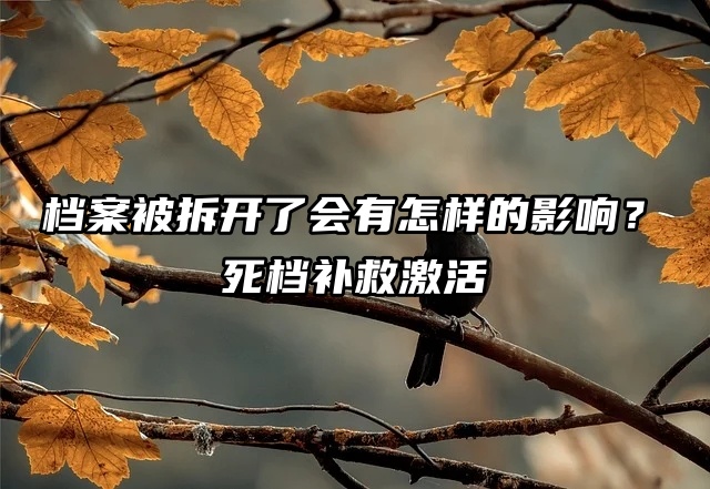 档案被拆开了会有怎样的影响？这些事情你都做不了！