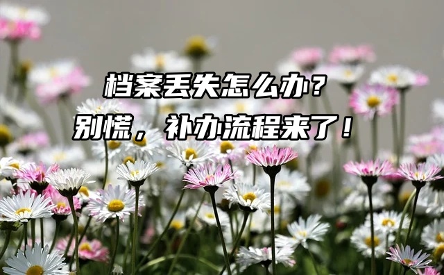 档案丢失怎么办？别慌，补办流程来了！