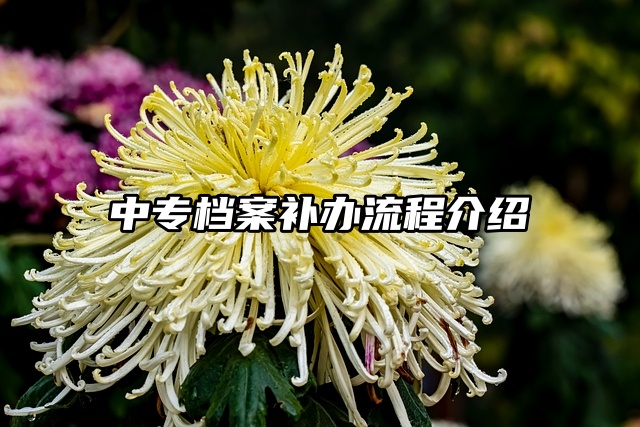 中专档案丢失怎么办？档案补办流程介绍来咯！