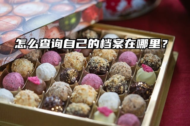 怎么快速查询自己的档案在哪里？