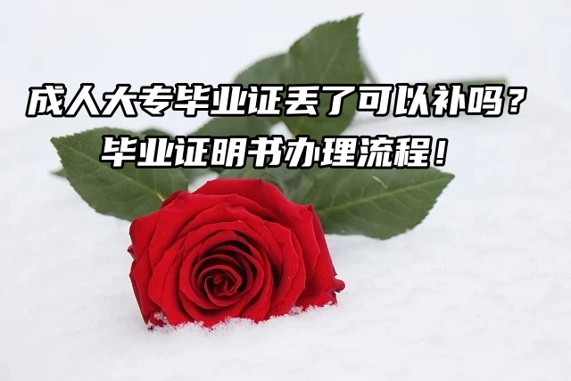 成人大专毕业证丢了可以补吗？当然！