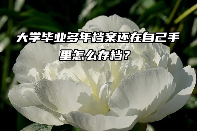 大学毕业多年档案还在自己手里怎么存档？