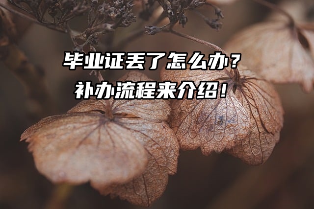毕业证丢了怎么办？补办流程来介绍！