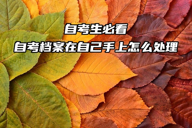 自考生必看：自考档案在自己手上怎么处理？