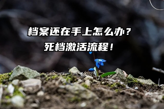 档案还在手上怎么办？死档激活流程来啦！