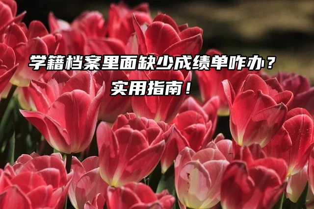 学籍档案里面缺少成绩单咋办？请看实用指南！