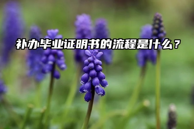 毕业证丢了，补办毕业证明书的流程是什么？