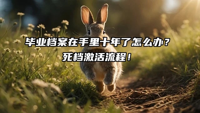 毕业档案在手里十年了怎么办？死档激活流程速看！