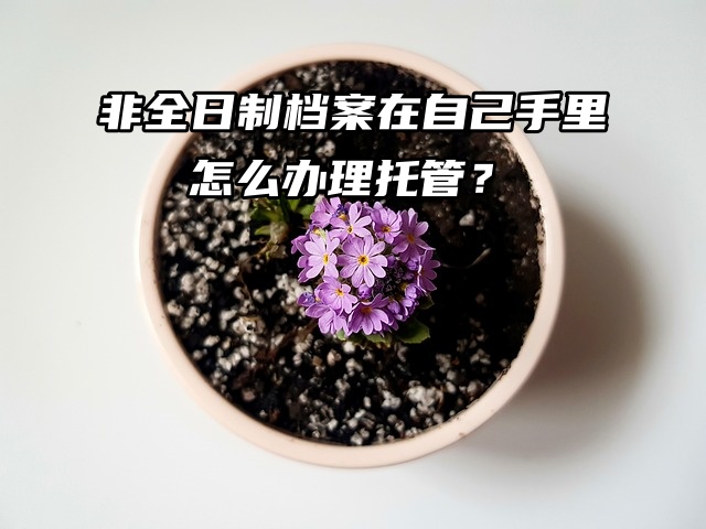 非全日制档案在自己手里怎么办理托管？直接看这篇！
