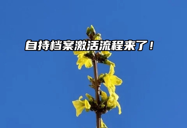 自持档案激活流程来了！档案在手里不要怕！