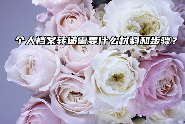 个人档案转递需要什么材料和步骤？看这篇就够了！