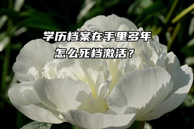 学历档案在手里多年怎么死档激活？看这篇！