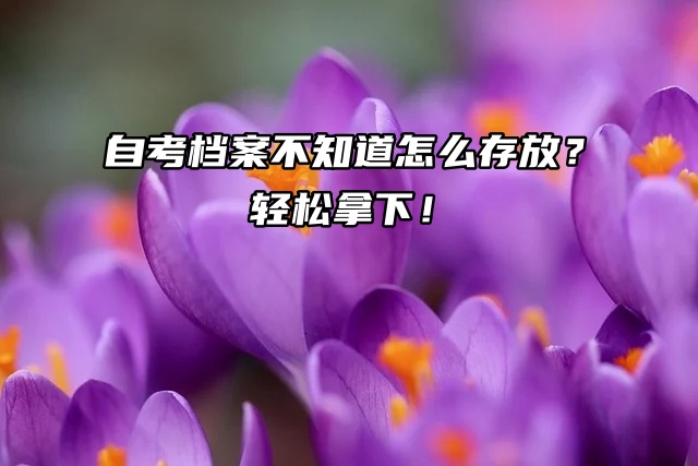 自考档案不知道怎么存放？轻松拿下难题！