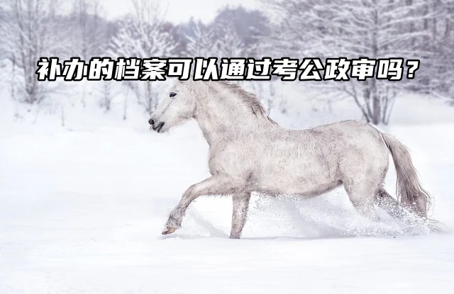 提问！补办的档案可以通过考公政审吗？