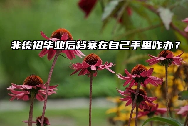 非统招毕业后档案在自己手里咋办？哭死！