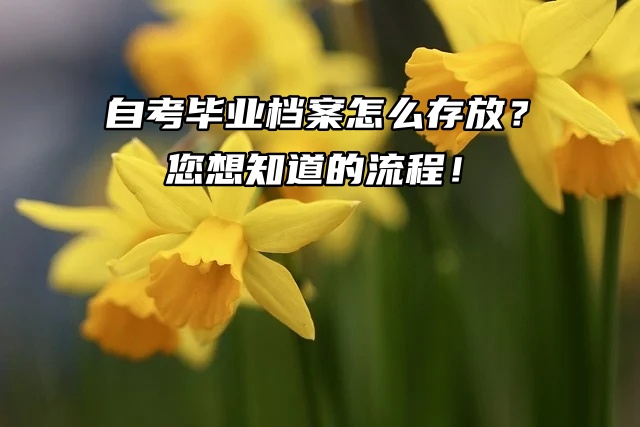 自考毕业档案怎么存放？您想知道的流程这里都有！