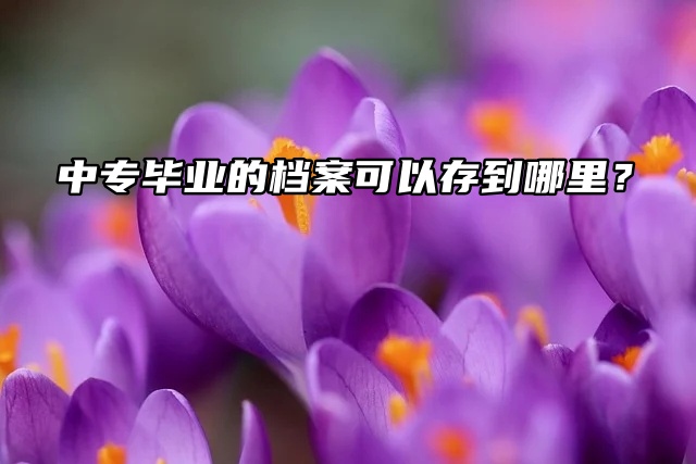 中专毕业的档案可以存到哪里？教你存放不踩雷！