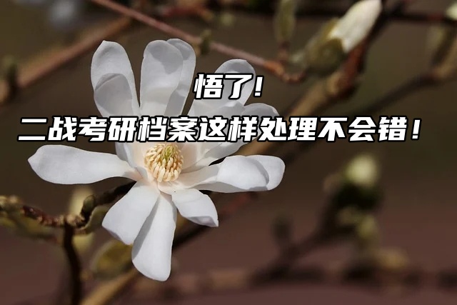 悟了!二战考研档案这样处理不会错！
