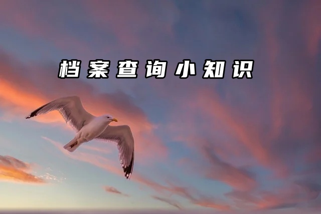 档案查询干货分享！毕业后档案去哪了？