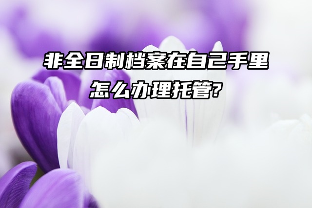 非全日制档案在自己手里怎么办理托管？