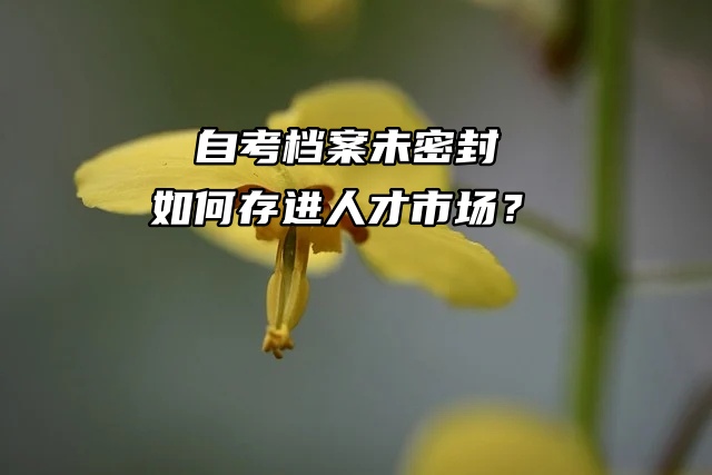自考档案未密封，如何存进人才市场？