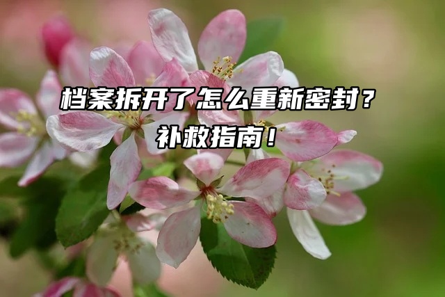 档案拆开了怎么重新密封？补救指南！