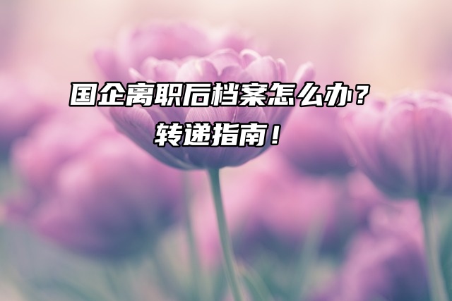 国企离职后档案怎么办？转递指南！
