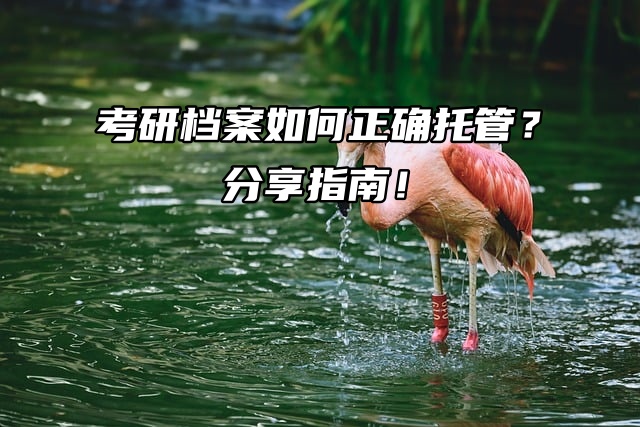 考研档案如何正确托管？分享指南！