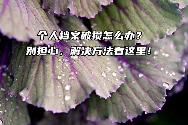 个人档案破损怎么办？别担心，解决方法看这里！