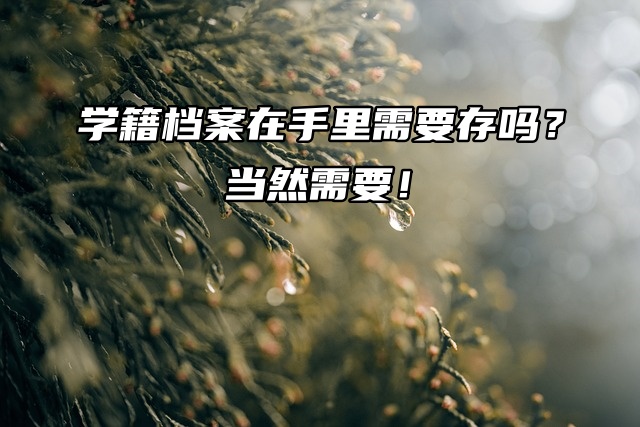 学籍档案在手里需要存吗？当然需要！