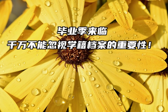 毕业季来临，千万不能忽视学籍档案的重要性！