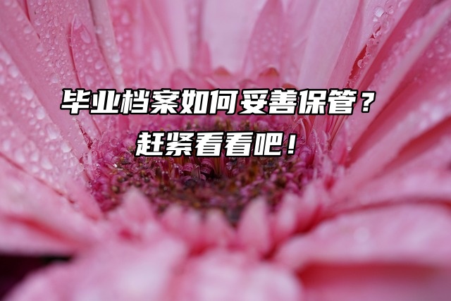 毕业档案如何妥善保管？赶紧看看吧！