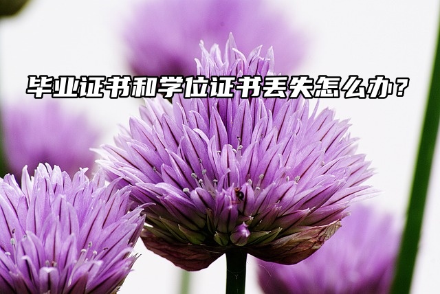 毕业证书和学位证书丢失怎么办？