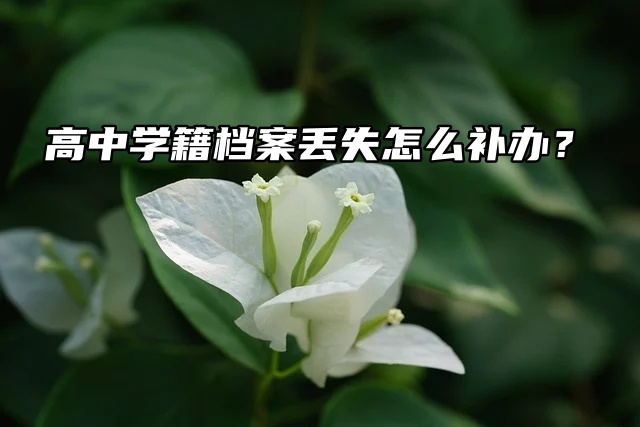 流程介绍：高中学籍档案丢失怎么补办？