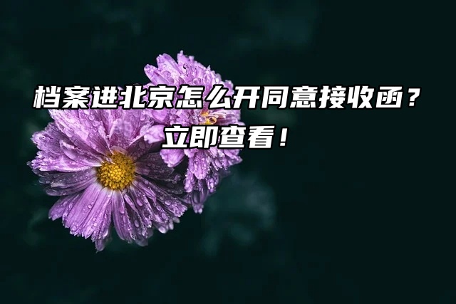 档案进北京怎么开同意接收函？立即查看！