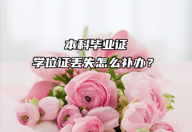 档案问题：本科毕业证、学位证丢失怎么补办？