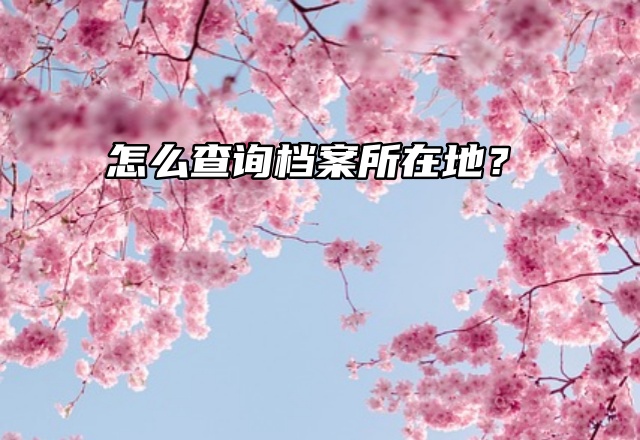 档案查询：怎么查询档案所在地？