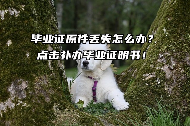 毕业证原件丢失怎么办？点击补办毕业证明书！