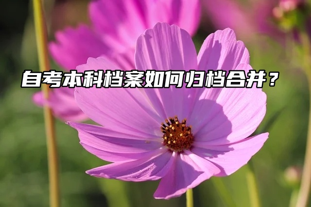 一篇搞定：自考本科档案如何归档合并？