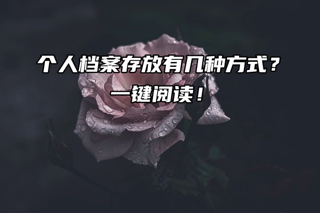 个人档案存放有几种方式？一键阅读！