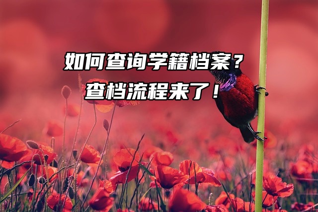 如何查询学籍档案？查档流程来了！