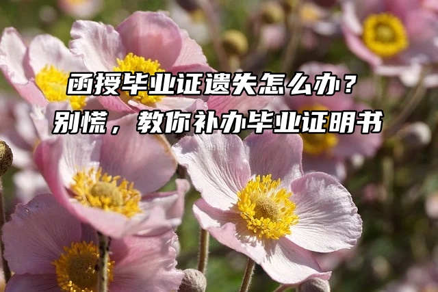 函授毕业证遗失怎么办？别慌，教你补办毕业证明书