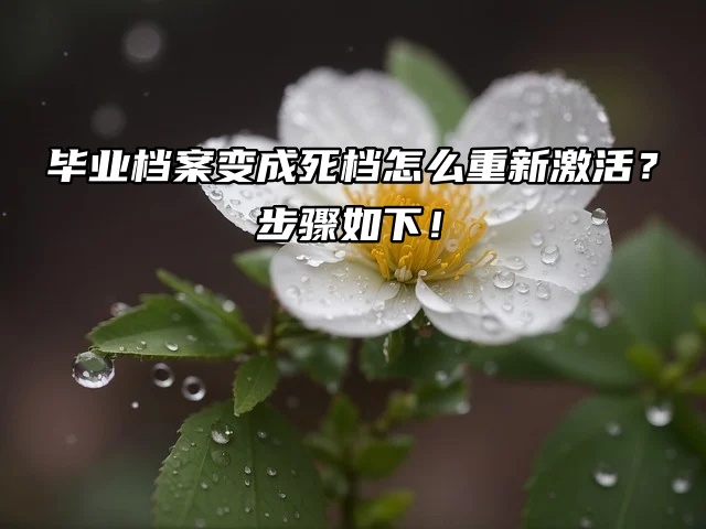 毕业档案变成死档怎么重新激活？步骤如下！