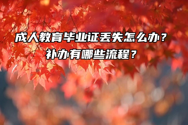 成人教育毕业证丢失怎么办？补办有哪些流程？