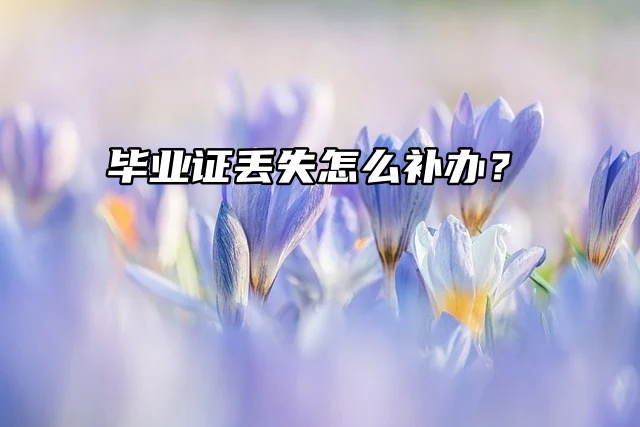 毕业证补办——毕业证遗失怎么办？