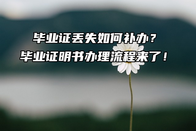 毕业证丢失如何补办？毕业证明书办理流程来了！