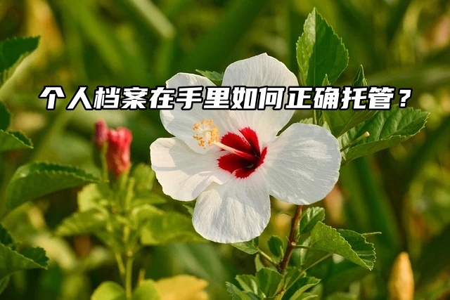 个人档案在手里变成死档如何正确托管？