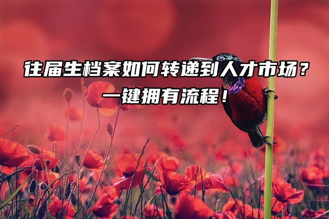 往届生档案如何转递到人才市场？一键拥有流程！